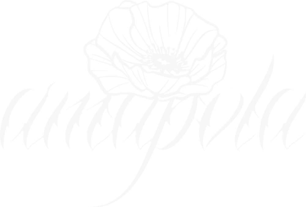 amapola
